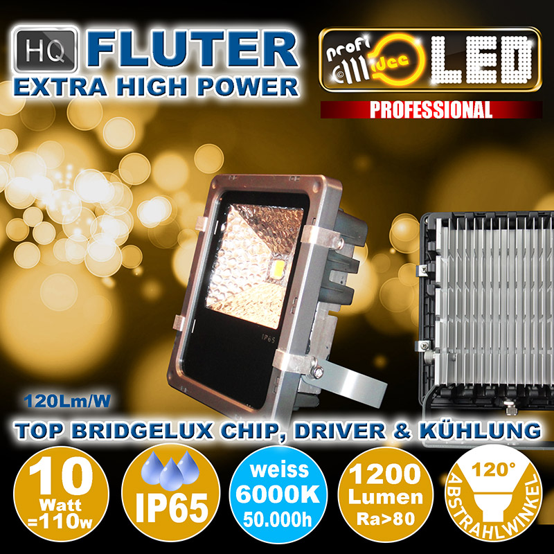  10W=110W LED HQ Fluter 1100Lm 120 6000K IP65 