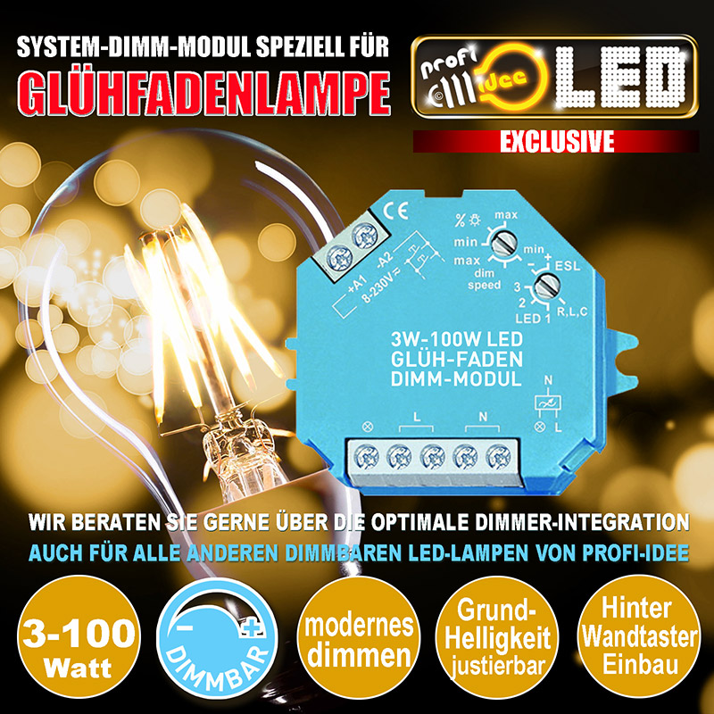  3-100W LED dimmer module for Filament-Bulb 
