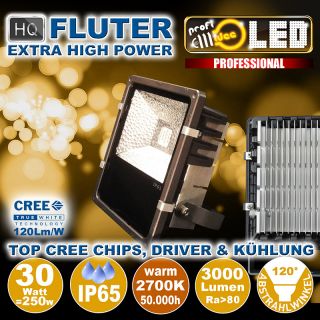  30W=250W LED HQ Fluter 3000Lm 120 2700K IP65 