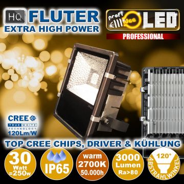  99108 - 30W=250W LED HQ Fluter 3000Lm 120 2700K IP65  115.69USD - 128.53USD  