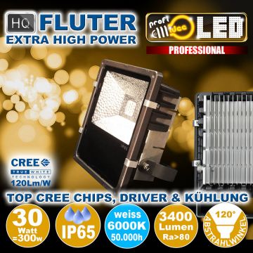  99109 - 30W=300W LED HQ Fluter 3400Lm 120 6000K IP65  114.97USD - 127.73USD  