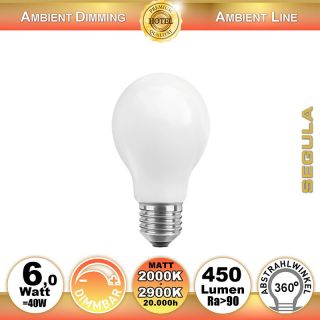  6W=40W LED Ambient Dimming Glhfadenbirne matt E27 450Lm 360 Ra>90 2000K-2900K 