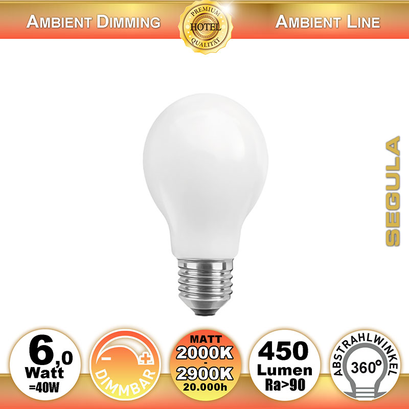  6W=40W LED Ambient Dimming Glhfadenbirne matt E27 450Lm 360 Ra>90 2000K-2900K 