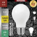  4W=28W LED Glas Glhfadenbirne dimmbar matt E27 300Lm 360 Ra>90 2600K 